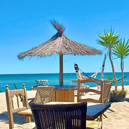 T3 Grande Terrasse Bord De Mer Le Barcarès Esterno foto